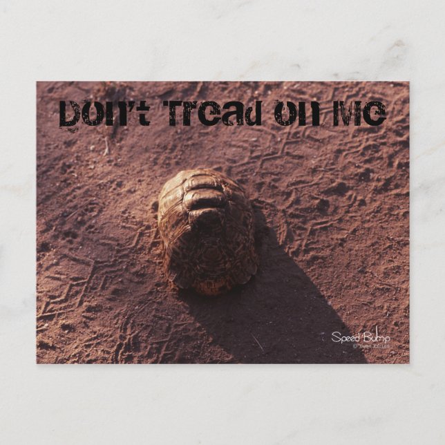 Geschwindigkeitssprung Postkarte (Vorderseite)