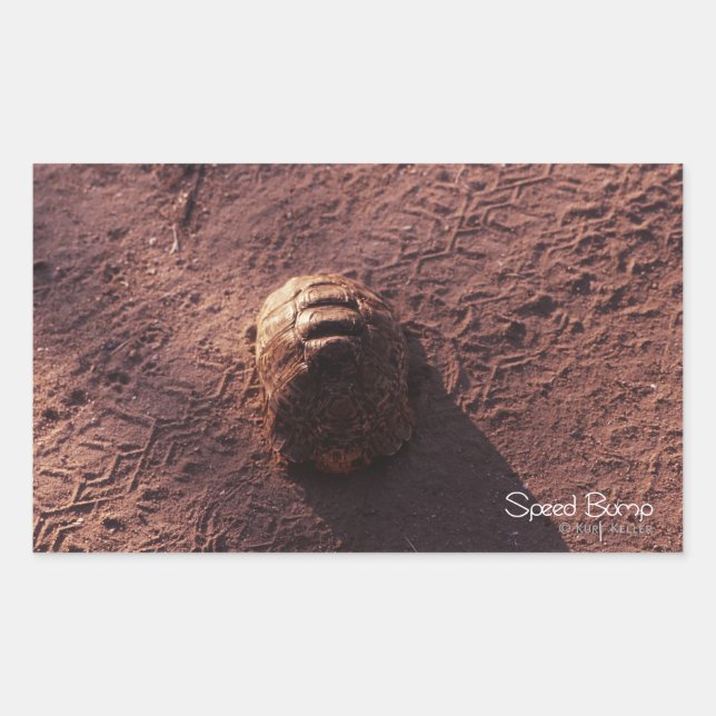 Geschwindigkeitssprung Rechteckiger Aufkleber (Vorderseite)