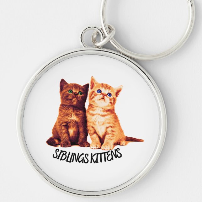 Geschwister, zwei niedliche Katzen Schlüsselanhänger (Vorne)