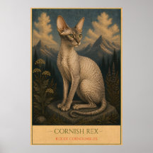Geschwungene Eleganz: Cornish Rex