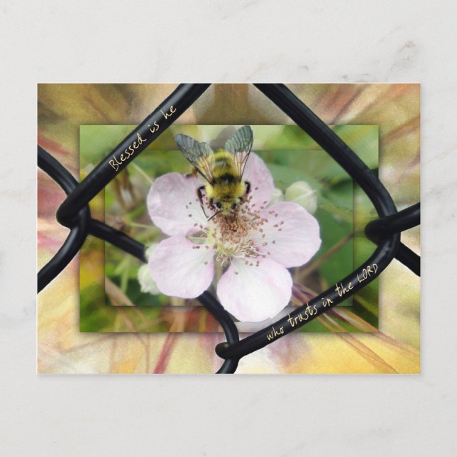 Gesegnet ist er, der auf den LORD vertraut Postkarte (Vorderseite)