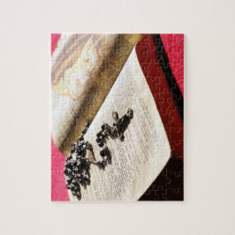 Gesegnetes Jungfrau-Mary-Bibel-Rosenbeet