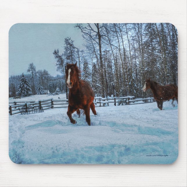 Geselliges Sorrel Pferd im Schnee für Pferdefreund Mousepad (Vorne)