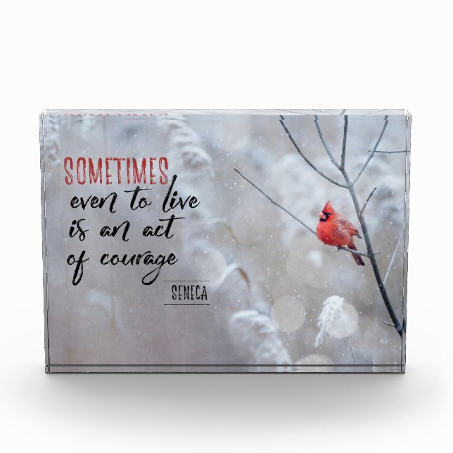 Gesetz des Mutes Fotoblock (Vorderseite)