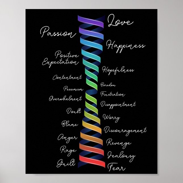 Gesetz zur Förderung der emotionalen Ausrichtung V Poster (Vorne)