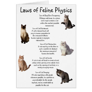 "Gesetze der Felinischen Physik"
