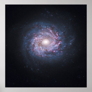 Gesicht auf Spiralgalaxie NGC 3982 vom Hubble Poster