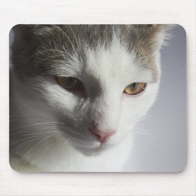 Gesicht einer Katze Mousepad (Vorne)