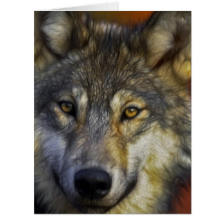 Gesicht eines Wolf-Fotos