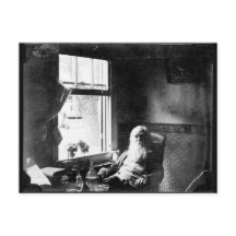 Gesicht immer zum Sonnenschein: Whitman in Mickle 