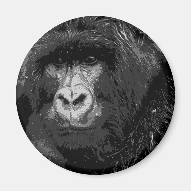 Gesichter des Gorillas Magnet (Vorne)