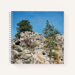 Gesichter...... Notizbuch