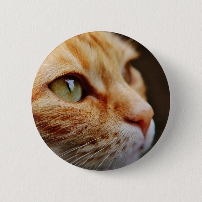 Gesichts einer Ingwerkatze bestimmt Button (Vorderseite)
