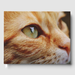 Gesichts einer Ingwerkatze bestimmt Gästebuch