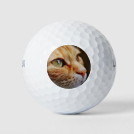 Gesichts einer Ingwerkatze bestimmt Golfball