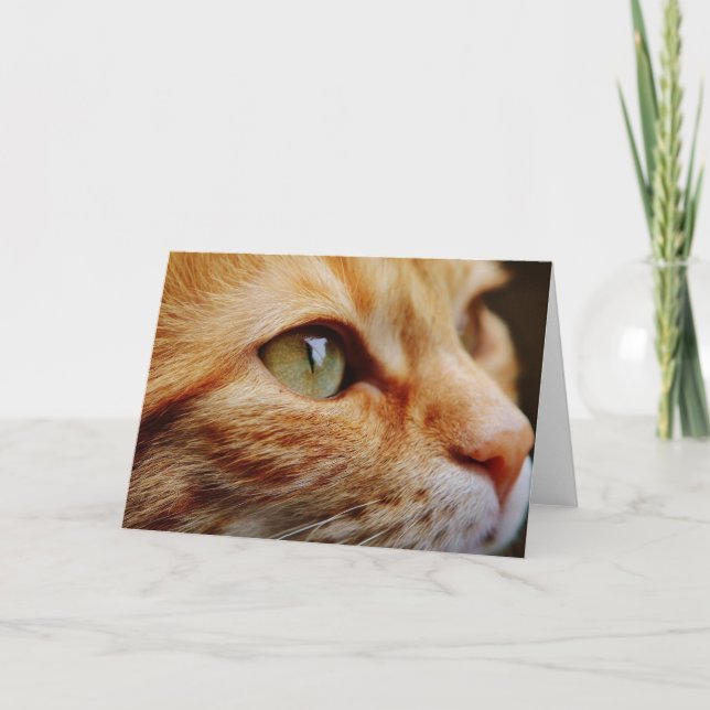 Gesichts einer Ingwerkatze bestimmt Karte (Vorderseite)