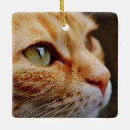 Gesichts einer Ingwerkatze bestimmt Keramikornament