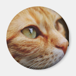 Gesichts einer Ingwerkatze bestimmt Magnet