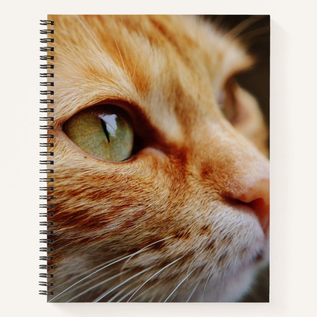 Gesichts einer Ingwerkatze bestimmt Notizbuch (Vorderseite)