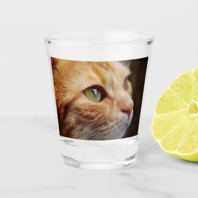 Gesichts einer Ingwerkatze bestimmt Schnapsglas (Vorderseite)