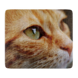 Gesichts einer Ingwerkatze bestimmt Schneidebrett