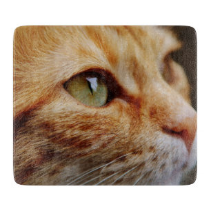 Gesichts einer Ingwerkatze bestimmt Schneidebrett