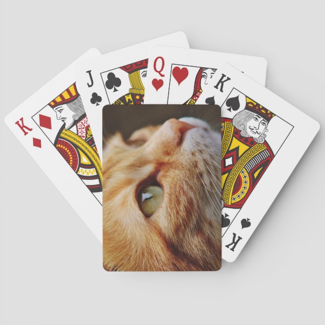 Gesichts einer Ingwerkatze bestimmt Spielkarten (Rückseite)