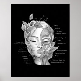 Gesichtsanatomie Gesichtsmuskeln Med Wellness-Cent Poster