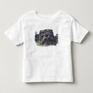 Gesichtsdetail des Westtor-Turms (Gopuram), Kleinkind T-shirt