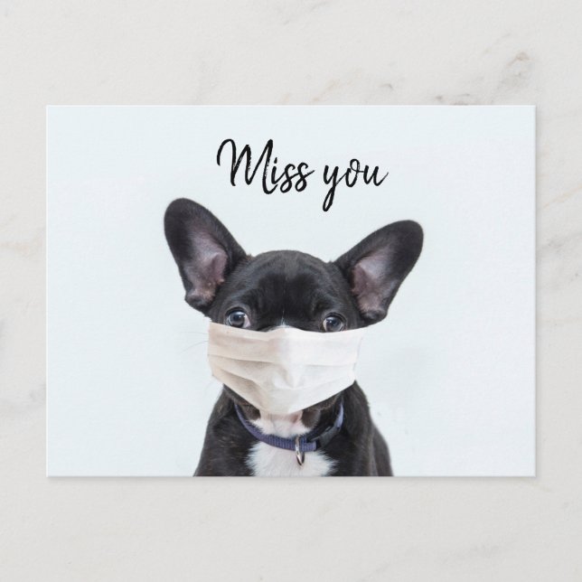 Gesichtsmaske für den französischen Bulldog Postkarte (Vorderseite)