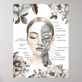 Gesichtsmuskeln Anatomische Art Massage Therapist  Poster