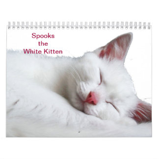 GESPENSTER DAS WEISSE KÄTZCHEN - CALLENDER KALENDER