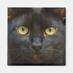 Gespenstische schwarze Katze Magnet