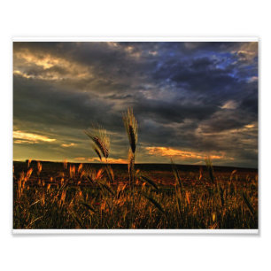 Gespräch mit dem Wind Fotodruck