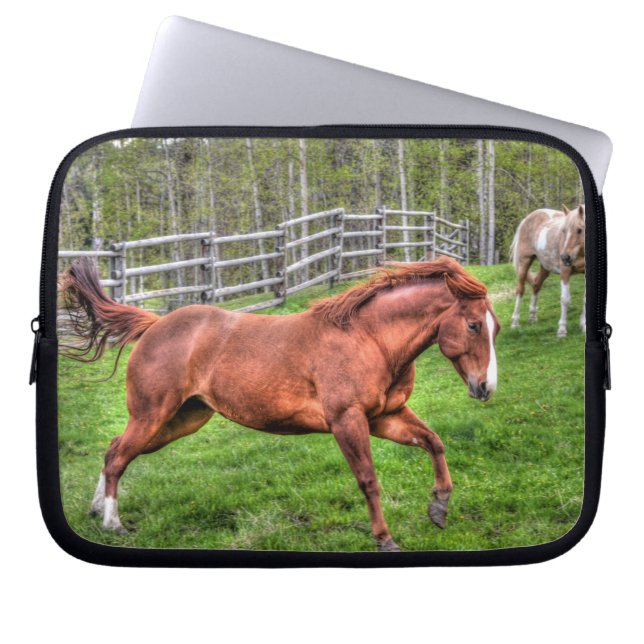 Gespürtes Rotwanzpferd auf Ranch Laptopschutzhülle (Vorderseite)