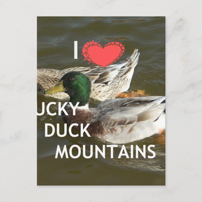 Gestalten Sie Ihre eigenen Duckenberge. Postkarte (Vorderseite)