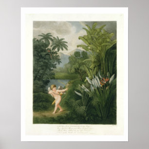 Gestalten Sie mit dem Amor landschaftlich, der Poster