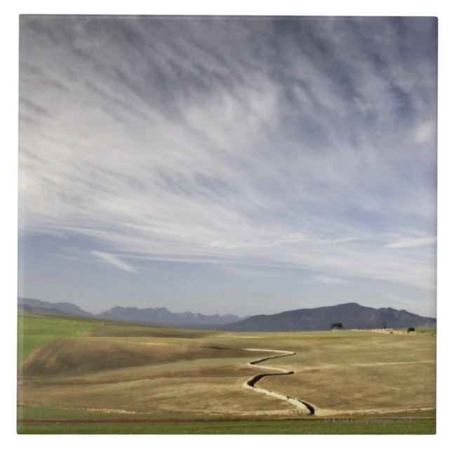 Gestalten Sie mit Weizenfeldern, Grabouw, Western Fliese (Vorderseite)
