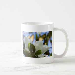 Gestaltetes Glas Sky Süd Magnolia Geschenke Appare Kaffeetasse