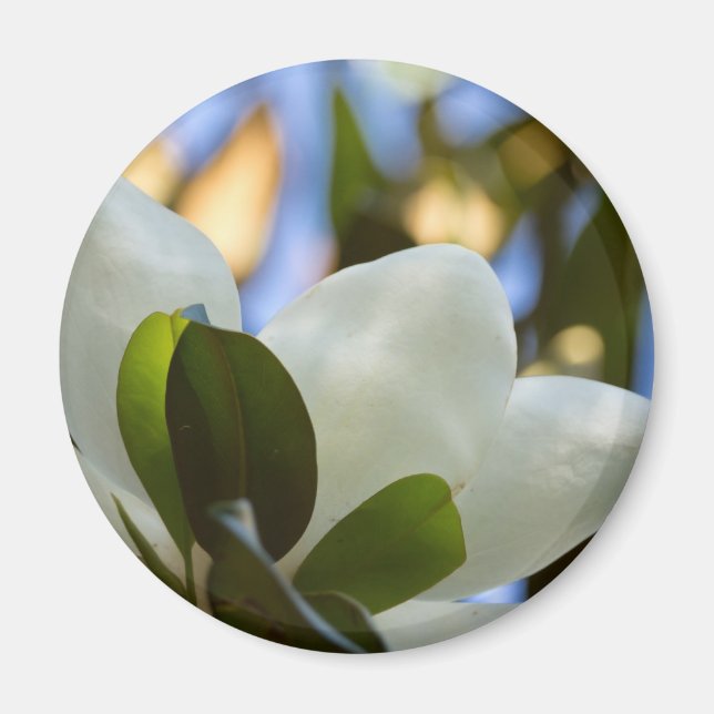 Gestaltetes Glas Sky Süd Magnolia Geschenke Appare Magnet (Vorne)