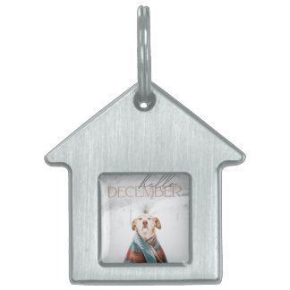 Gestaltetes Haustierhalsband Tiermarke