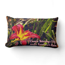 Gestern Lily in Tomorrow Rain