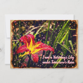 Gestern Lily in Tomorrow Rain Postcard Feiertagskarte