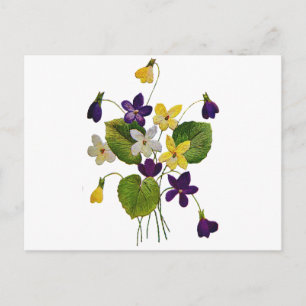 Gestickte weiße, gelbe und violette Veilchen Postkarte