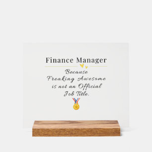 Gestionnaire des finances