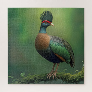 Gestohlene Partridge auf einer Mooszweigung