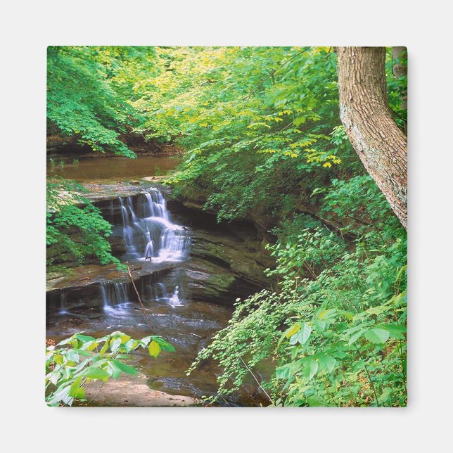 Gestorener Felspark, Illinois Magnet (Vorne)