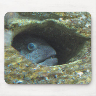 Gestörte Fische Mousepad