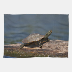 Gestreifte Schildkröte Handtuch
