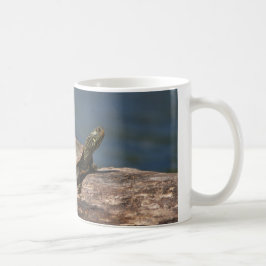 Gestreifte Schildkröte Kaffeetasse
